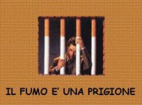 /album/galleria-fotografica/slogan-fumo-jpg/